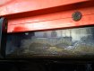 KOEGEL SNCO24 MEGALINER Zdvih. náprava, zdvih. strecha